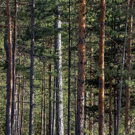 Βίλα 3 Tacke Tara